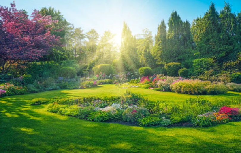 Sustainable Ways To Transform Your Garden